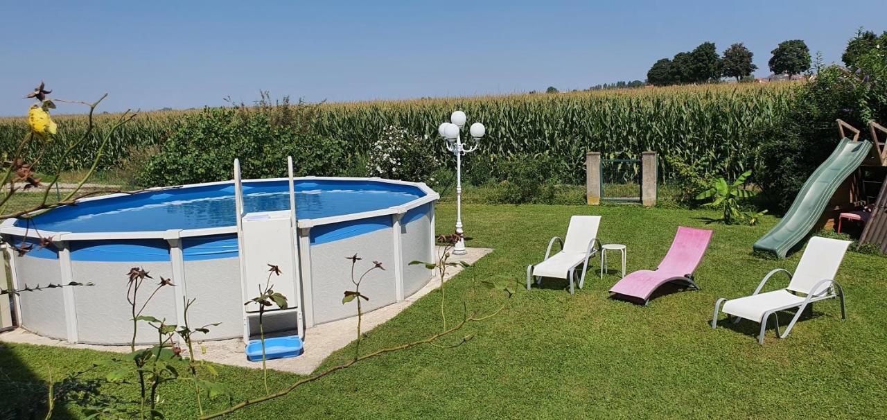 Maison De Vacances Avec Piscine, Proche Strasbourg Et Europa Park Sand Bagian luar foto