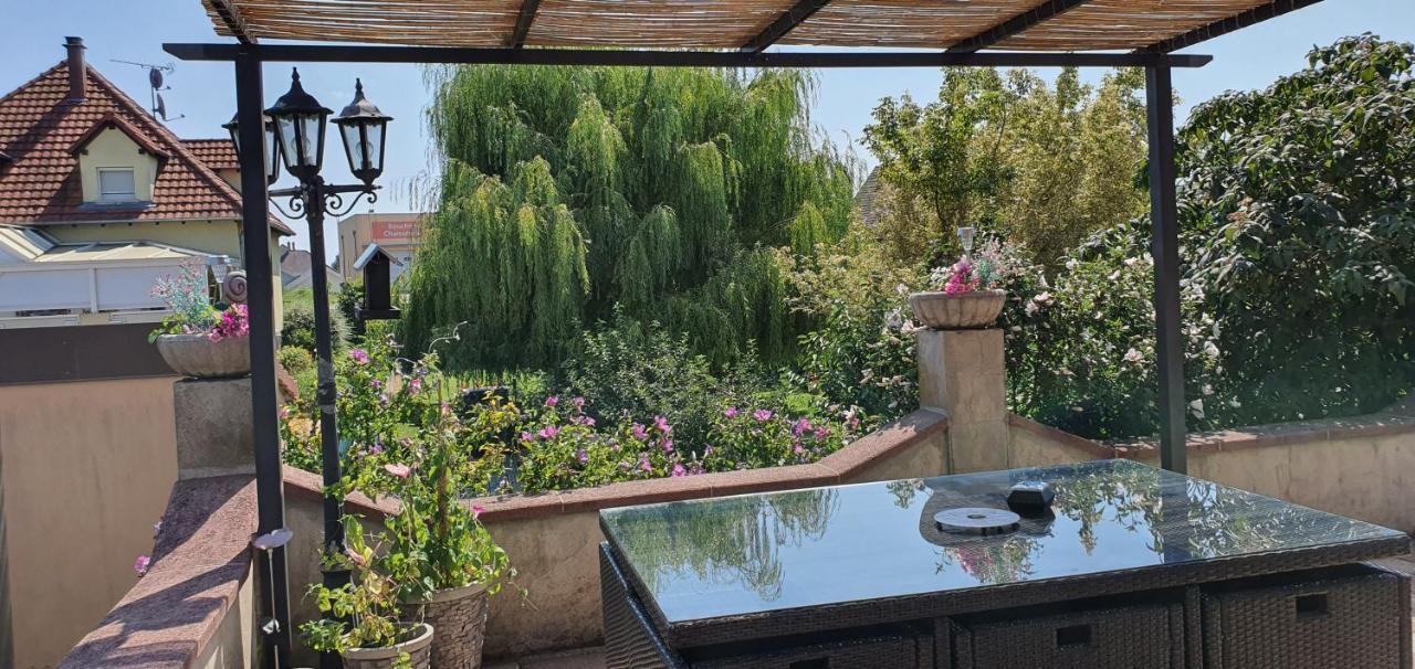 Maison De Vacances Avec Piscine, Proche Strasbourg Et Europa Park Sand Bagian luar foto